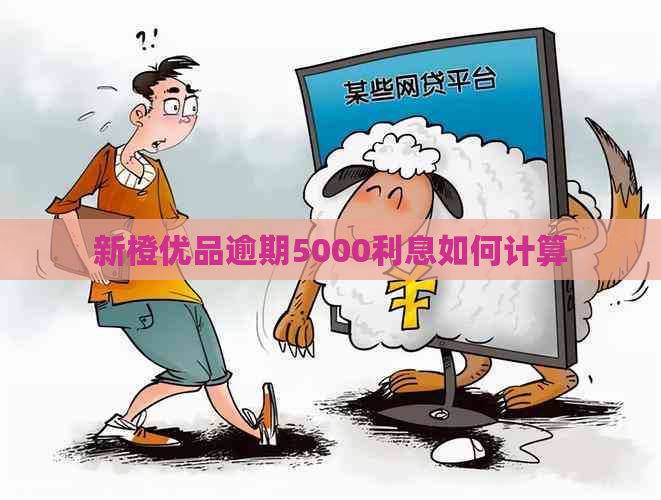 新橙优品逾期5000利息如何计算