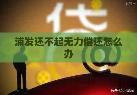 浦发还不起无力偿还怎么办