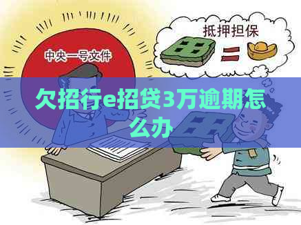 欠招行e招贷3万逾期怎么办