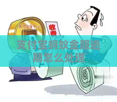 信用卡蚂蚁金服逾期怎么处理