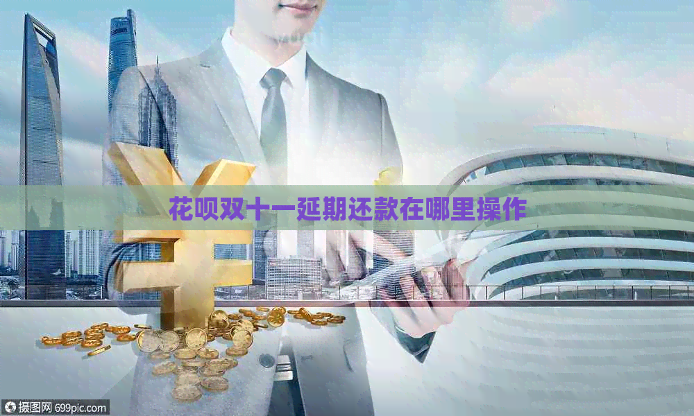 白条双十一延期还款在哪里操作