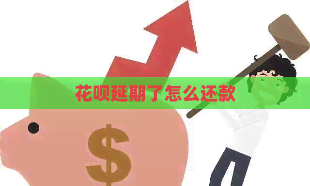 白条延期了怎么还款