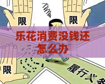 乐花消费没钱还怎么办