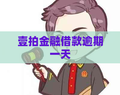 壹拍金融借款逾期一天