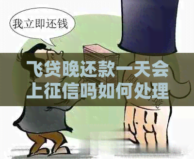 飞贷晚还款一天会上吗如何处理