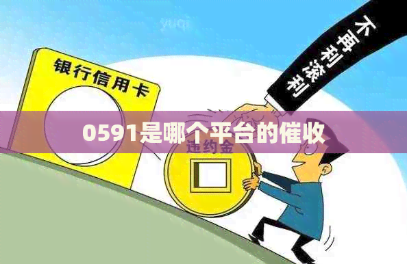 0591是哪个平台的