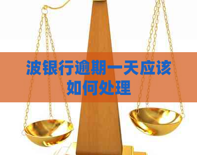 波银行逾期一天应该如何处理