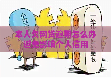 本人欠网贷逾期怎么办避免影响个人信用