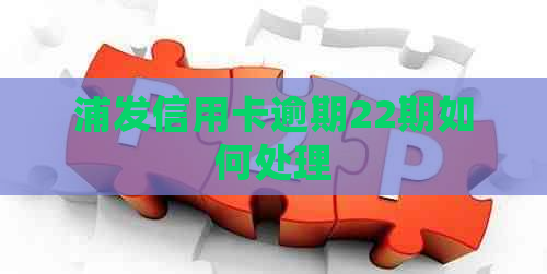 浦发信用卡逾期22期如何处理