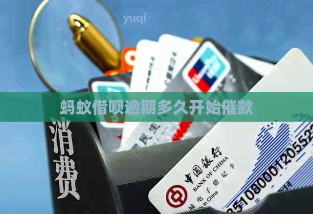 蚂蚁信用卡逾期多久开始催款