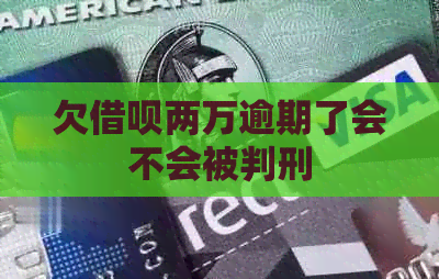 欠信用卡两万逾期了会不会被判刑