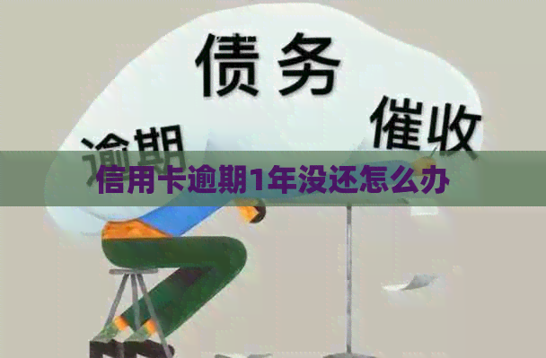 信用卡逾期1年没还怎么办