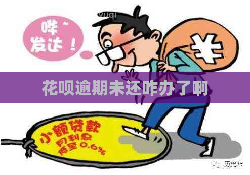 白条逾期未还咋办了啊