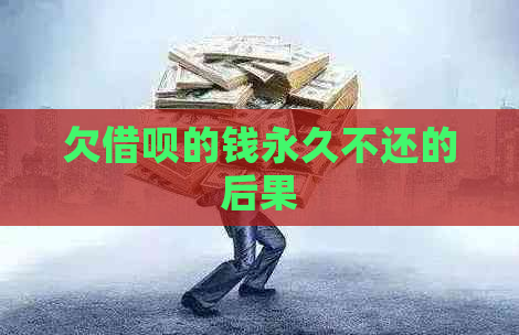 欠信用卡的钱永久不还的后果