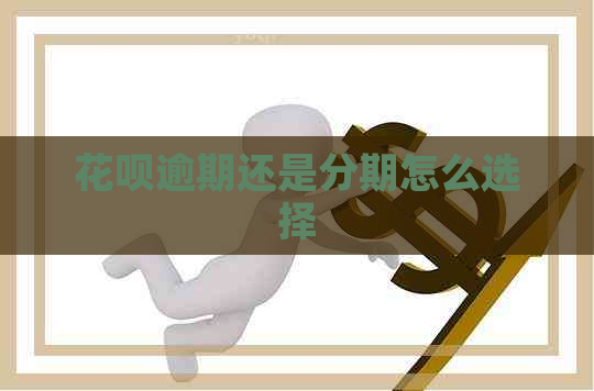 白条逾期还是分期怎么选择