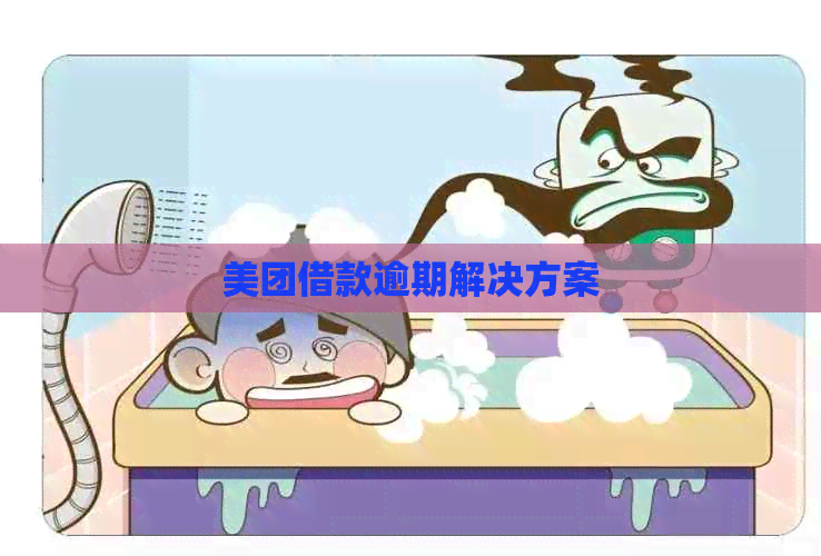 美团借款逾期解决方案