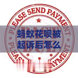 蚂蚁白条被起诉后怎么办