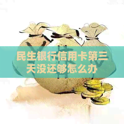 民生银行信用卡第三天没还够怎么办