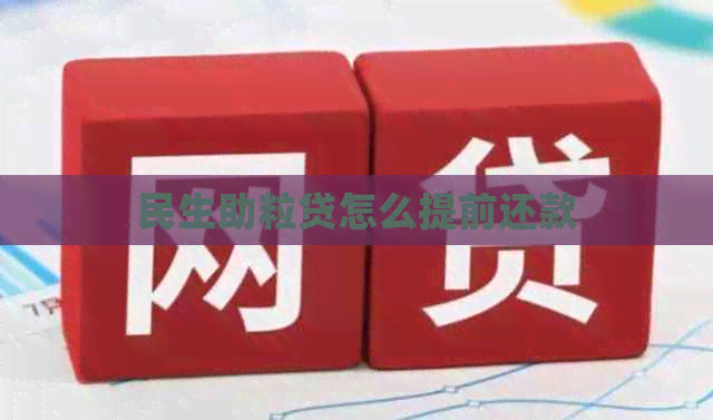 民生助粒贷怎么提前还款