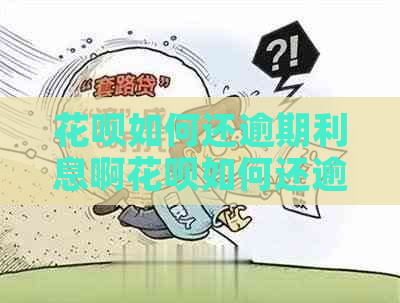 白条如何还逾期利息啊白条如何还逾期利息