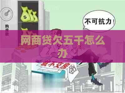 白条贷欠五千怎么办