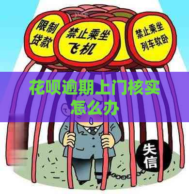 白条逾期上门核实怎么办