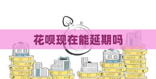 白条现在能延期吗