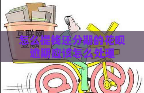 怎么提钱还分期的白条逾期应该怎么处理