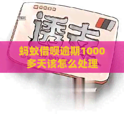 蚂蚁信用卡逾期1000多天该怎么处理