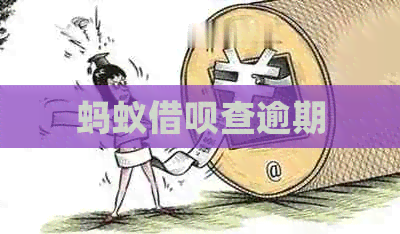 蚂蚁信用卡查逾期