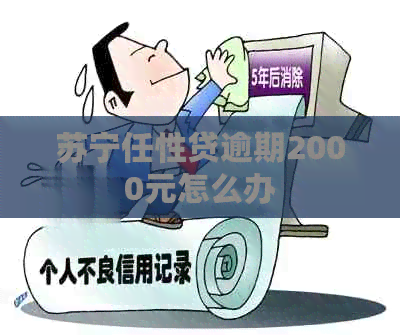 苏宁任性贷逾期2000元怎么办