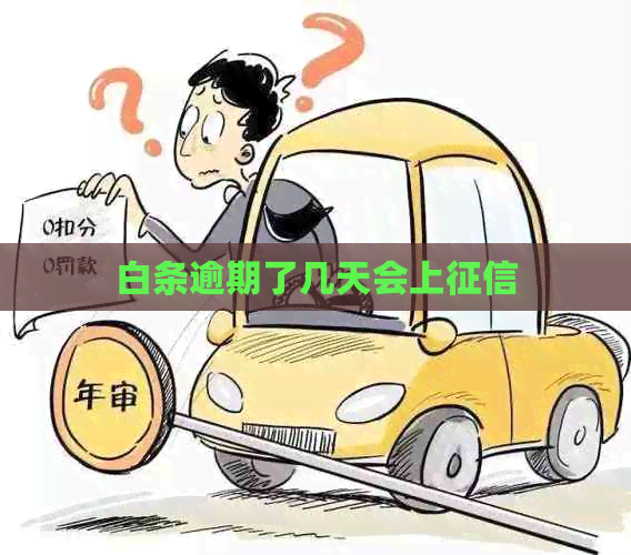白条逾期了几天会上