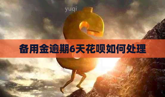 备用金逾期6天白条如何处理