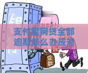 信用卡网贷全部逾期怎么办应对措施