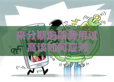 来分期逾期费用过高该如何应对