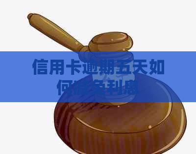 信用卡逾期五天如何减免利息