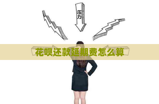 白条还款延期费怎么算