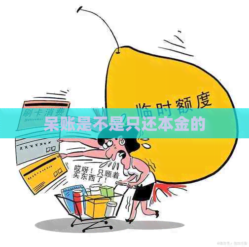 呆账是不是只还本金的