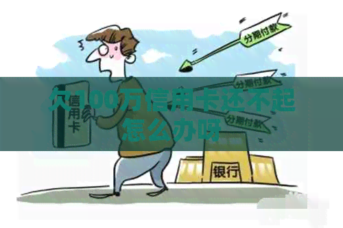 欠100万信用卡还不起怎么办呀