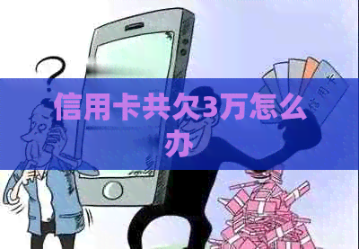 信用卡共欠3万怎么办