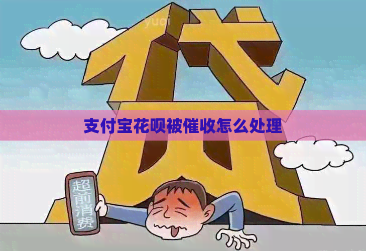 信用卡白条被怎么处理