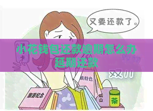 小花钱包还款逾期怎么办延期还款