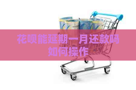 白条能延期一月还款吗如何操作