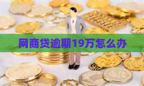 白条贷逾期19万怎么办