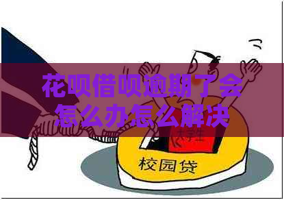 白条信用卡逾期了会怎么办怎么解决