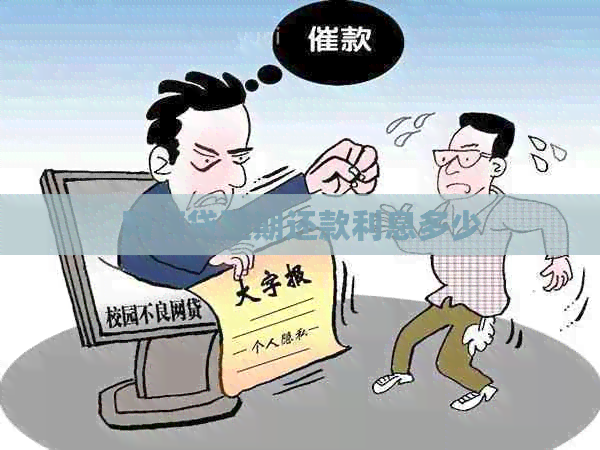 白条贷延期还款利息多少