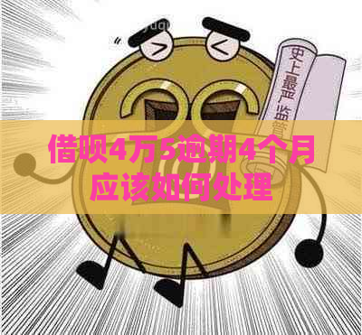 信用卡4万5逾期4个月应该如何处理