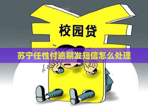 苏宁任性付逾期发短信怎么处理