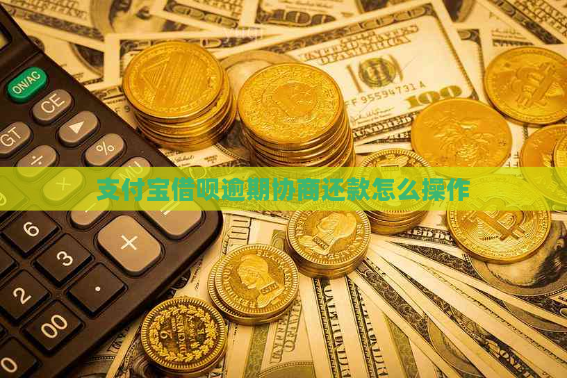 信用卡信用卡逾期协商还款怎么操作
