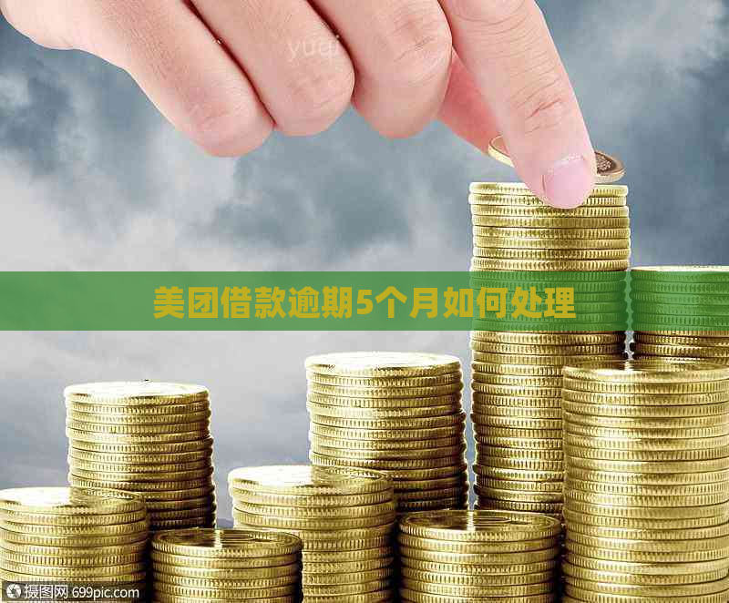 美团借款逾期5个月如何处理